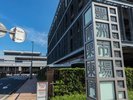 【豊洲市場】