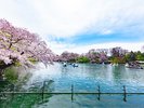【井の頭公園】