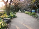 【千鳥ヶ淵】