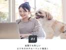 【ペット同伴ルーム】Dog用シーツ・水飲皿をご用意しております。ベッドヘッドにコンセント&USB設置
