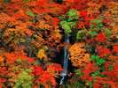 紅葉のきれいな秋山郷 大赤沢(蛇淵の滝)