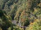 秋山郷前倉橋を眺めて