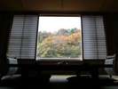 秋には裏山の紅葉が眺めて『の〜んびり ゆったり』と