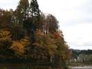 自然豊な津南町。秋には信濃川沿線も紅葉できれいで散策にも最高です。