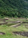 結東の石垣田