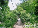 見倉のつり橋