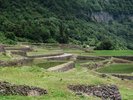 結東の石垣田