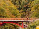 秋山郷 前倉橋