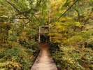 見倉つり橋