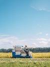 自家製コシヒカリ稲刈り風景