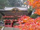 【日光山輪王寺】「二社一寺」と称される天台宗大本山の寺院です。当施設からお車で約6分。