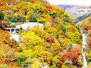 【いろは坂】日光市街と中禅寺湖・奥日光を結ぶ観光道路です。紅葉スポット。当施設からお車で約40分。