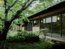 新館の廊下からご覧いただける景色。四季の移ろいをご覧いただけます。