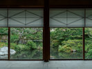 新館玄関の大きな窓からは夏は緑を、秋は紅葉をご覧いただけます。