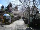 杉の馬場 入口