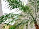 ■大浴場(内湯)木々の緑を楽しみながら、身体の奥にたまった疲れをゆっくりとほぐしてください