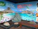 ■和洋レストラン ワルン