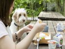 食事イメージ