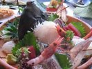 �y�ʔN�F�������z���̓��g�������n�����p���ŁB�Q���l�ł����̃{�����[����