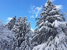 �~�i�F