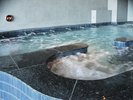 本館4階 男湯 アトラクエレキ風呂
