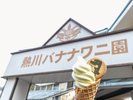 熱川バナナワニ園