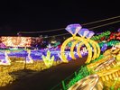 【周辺観光】伊豆高原グランイルミ(当館から車で約9分)
