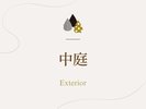 憩いの場「中庭」のご紹介でございます。