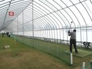 *【パークゴルフ場】冬でも楽しめる室内パークゴルフ場は当館からすぐ!