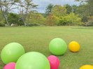 �o�����X�{�[���̌�