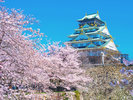 <大阪城>電車で25分。春は桜、冬はイルミネーション。天守閣内には貴重な歴史資料などが展示されている。