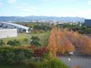 屋上より造形大学を望む