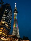 エントランスからの風景