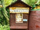 フクロウの森