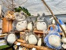 TOTORO SHOP