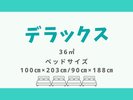 【デラックス 36平米】