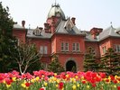 【北海道庁旧本庁舎(赤レンガ)】