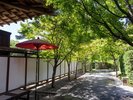 小倉藩主の別邸跡に造られた庭園