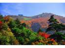 ◇剣山◇剣山は山々が連なる四国山地の東部にあり、秋には紅葉がきれいです。