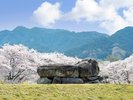 古代史跡の宝庫:明日香村(車で20分)