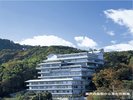 瀬戸内海側から見た花樹海全景です。