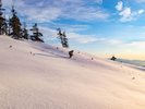 �ɏ�̐���ő��ŁB�N���������A�ō��̐�ʂ��삯������B