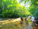 夏の川は輝く宝箱。水辺の虫たちが、君との出会いを待っている。