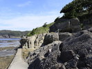ホテルの目の前にある恵比寿島