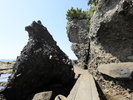ホテルの目の前にある恵比寿島