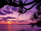 ご観光中にぜひ一度は見てほしい、日没前のマジックアワー。
