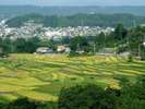 【横瀬・寺坂棚田】車で約15分