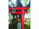 【秩父今宮神社】ご神木にあるハートを見つけたら、恋愛成就!?(ホテルから車で約5分)