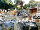 【周辺観光|伊豆シャボテン動物公園】名物・カピバラの露天風呂に癒されて