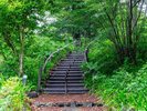 【遊歩道】木々の間へと続く階段を上り、自然豊かな景色をお楽しみください。
